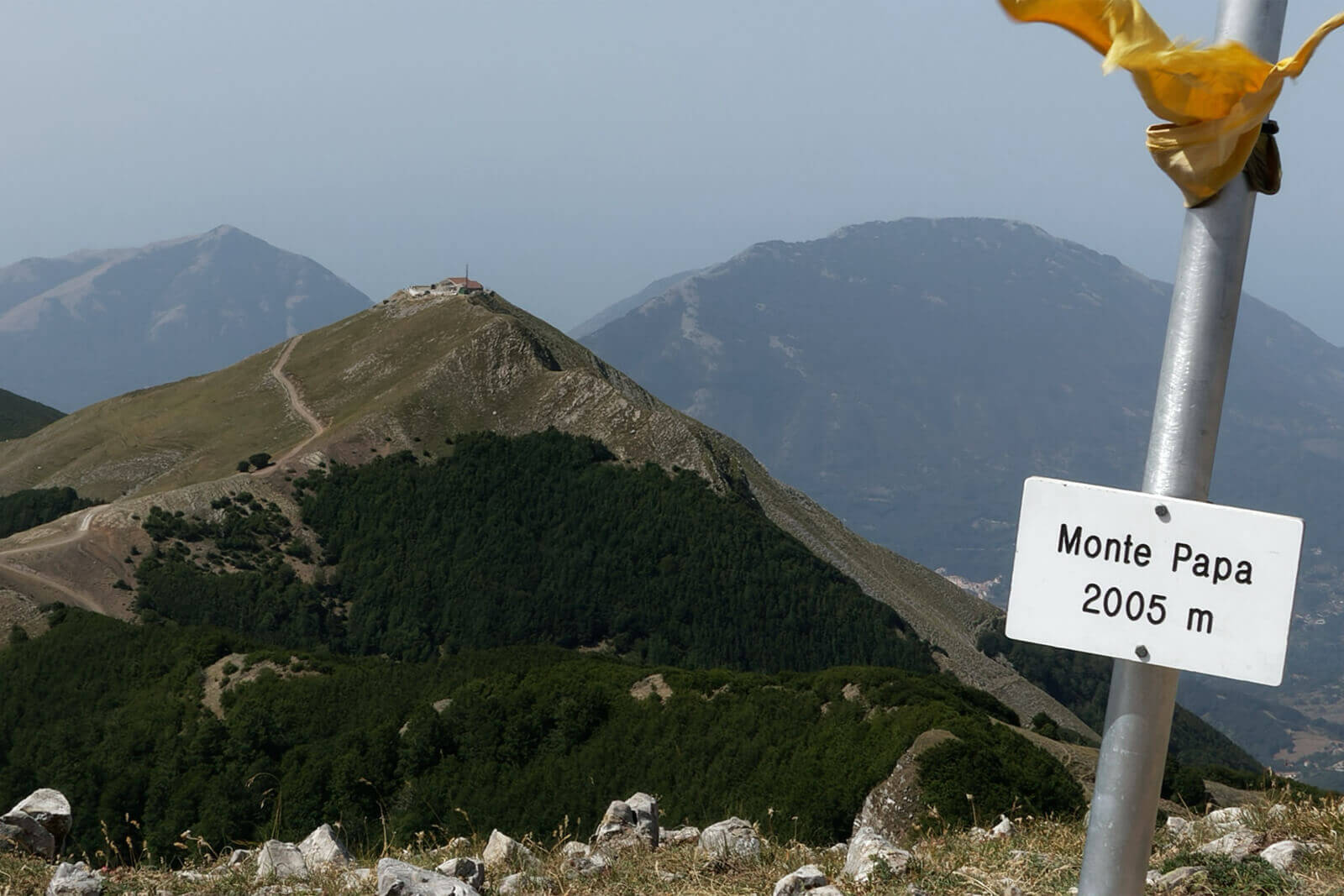 monte papa